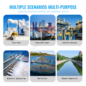 <span class=keywords><strong>ปั๊ม</strong></span>น้ำแบบแรงเหวี่ยงแนวนอน แบบดูดสองทาง ตัวเรือนแบบหล่อขึ้นรูป แยกส่วนตามแนวแกน สำหรับล้างแร่และทำความสะอาดบ่อเกจัดสารตกค้าง - Product Image 6