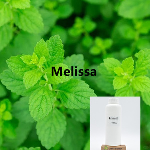 Оптовая продажа 100% чистое натуральное масло мелиссы эфирное масло мелиссы масло лимонного бальзама - Product Image 2