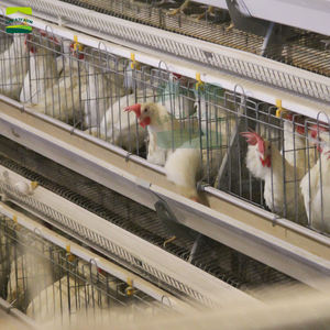 Özel boyut tavuk kümesi çevrimiçi tavuk kümesi bana yakın tavuk kümesi büyük çalışma - Product Image 6