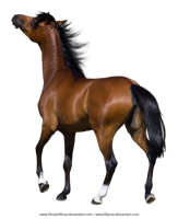 Offre Spéciale : Cheval Animatronique Grandeur Nature Personnalisable et Populaire pour Zoo