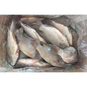 Esportazione Cinese: Tilapia Intera Congelata IQF/IWP/IVP, 10kg per Cartone, Tutte le Dimensioni - Product Image 6