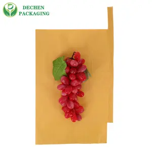 Çanta büyümek şeftali büyüyen satış kağıt çanta sarılı üzüm meyve güneş koruma