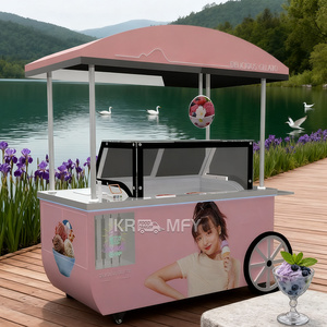 Freezer Cabinet Gelato Showcase Towable Ice Cream Food Truck Fast Food Rust Resistant Metal Push <b>Popsicle</b> Cart - Product Image 3