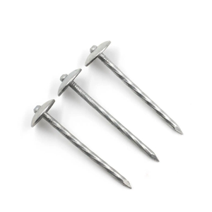 Clous de toiture en spirale à pointe diamantée, pointe aiguë - Product Image 2