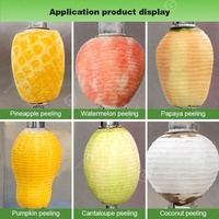 Comercial Roestvrijstalen Sinaasappelschijfleverancier Pompoenhuid Automatische Grapefruitpelmachine