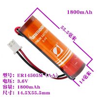 Pile au lithium SUNMOON ER14505M 3.6V AA 2100mAh avec connecteur JST XH2.54 pour compteurs intelligents d'eau/gaz/électricité et appareils IoT, durée de vie de 10 ans