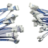 Maßgefertigtes 2468 24AWG Verzinntes Kupferleiter PVC-Isoliertes Blau-Weißes Flachbandkabel PH2.0-5P Adapter mit 20cm Länge