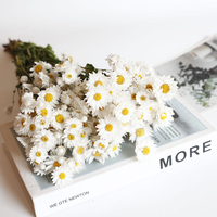 Bunga Kering Rodanthe Daisy Wafa Home, Produk Terlaris, Ramah Lingkungan, untuk Pernikahan, Hari Valentine, Natal, Imlek