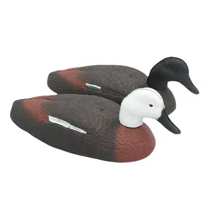 Paradise shell duck decoy