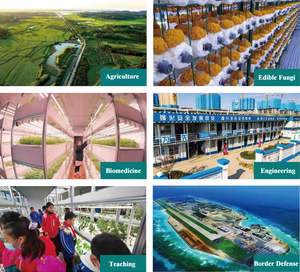 Contenedor de cultivo de hongos de alto rendimiento Cámara de crecimiento de hongos Fábrica de hongos comestibles - Product Image 5