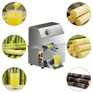 Exprimidor de Caña de Azúcar de un Solo Toque YYHB YYHB-GZJ001 - Alta Productividad, Fácil de Usar para Personal Sin Formación, 1100W/220V para Plantas de Procesamiento de Frutas - Product Image 1