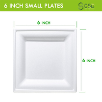 Assiettes biodégradables jetables robustes de canne à sucre carrées compostables blanches de 6 pouces pour le dessert
