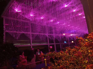 China, el más nuevo de la venta caliente de la lámpara de color mezclado estrellado <span class=keywords><strong>invisible</strong></span> diy de fibra óptica lámpara de araña - Product Image 6