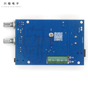 Xingkai Tpa3116 Mono 100W Subwoofer <b>Car</b> <b>Amplifier</b> 12-24V High Power Audio Board - Product Image 2