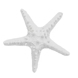 Harz White Finger Ocean Star Seestern Dekoration