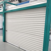 Porte à enroulement en acier pour entrepôt, prix usine Chine, durable, extérieure, manuelle, moderne, usage commercial, garantie 3 ans
