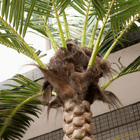 Palmier artificiel à gros coffre, 7.5M de hauteur, 1 pièce, décoration décorative de jardin vert d'extérieur