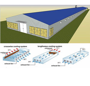Granja avícola, gallinero, Gallinero - Product Image 1