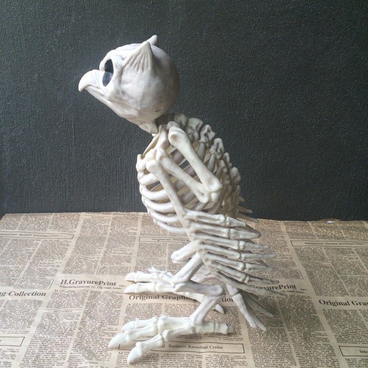 owl デモ3枚セット RE:BONE FLAP BOO!! Crazy Bonez Skeleton Owl for Halloween Decor - Realistic Plastic