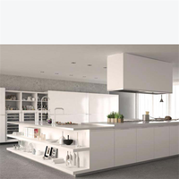 Solution de cuisine modulaire en acier inoxydable sur mesure pour appartement, villa, construction de maison neuve, rénovation