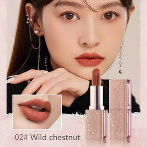 Rouge à lèvres mat pigmenté de haute qualité <span class=keywords><strong>Polina</strong></span> Luxury Chemical Makeup, imperméable, 6 couleurs, pour femmes, marque privée, certifié MSDS - Product Image 4