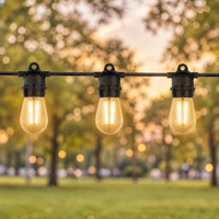 Guirlandes lumineuses LED directes usine IP65 nickelées 14,4 m 15 douilles E27 ampoules S14 G60 2700K blanc chaud pour jardin et véranda