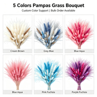 Bouquet de pampas séchées naturelles, queues de lapin, pour décoration bohème, accessoire photo, arrangement de table, décorations de mariage et de maison