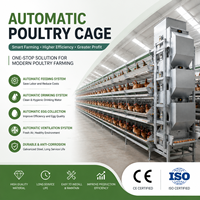 Nouvelle cage à poulets de type H entièrement automatique pour la collecte des œufs, en acier galvanisé et acier inoxydable, facile à nettoyer, pour les grandes exploitations avicoles