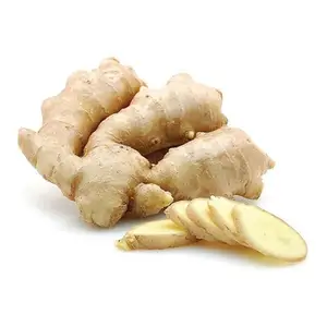 Best Quality New Crop fresh dry ginger suppliers for sushi For Export