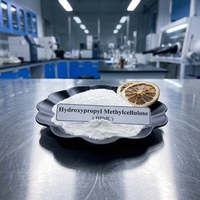 Fabricant d'éthers de cellulose, fournisseurs de la marque HPMC, poudre d'hydroxypropylméthylcellulose, prix d'usine, poudre HPMC