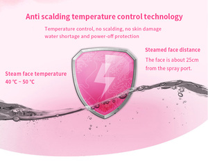 Máy Xông Hơi Mặt Tại Nhà Thẩm Mỹ Viện Chuyên Nghiệp 2023 Máy Xông Hơi Mặt Tiện Dụng Cho Mặt Spa Ion Nano Cho Mặt - Product Image 4