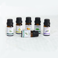 Vente en gros de diffuseurs de pierres écologiques en boîte de 10 ml, huiles essentielles fraîches à la lavande, au citron et à l'orange, désodorisants aromatiques pour la maison et la voiture, 80%