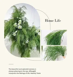 Vente en gros <span class=keywords><strong>Lu</strong></span> <span class=keywords><strong>Xun</strong></span> herbe fraîche Simulation Dragon Barbe Plante verte Feuille Forêt Style Intérieur Aménagement Paysager Décoration - Product Image 6