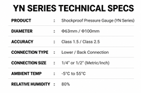 YN-IV Vibration-Proof Hydraulic Pressure Gauge | Accurate Measuring Instrument with ISO9001 Certified