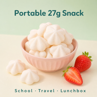 Galletas Crujientes con Sabor a Yogur de Frutas, Venta al Por Mayor de Fábrica, Snack para Niños, Marca Privada OEM, 27g