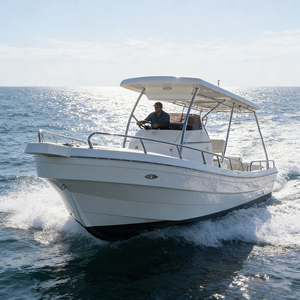 Barco de Pesca de Fibra de Vidrio de 7.9m (26 pies) con Consola Central, Embarcación Profesional para Pesca Deportiva en Alta Mar con T-Top en Venta - Product Image 1