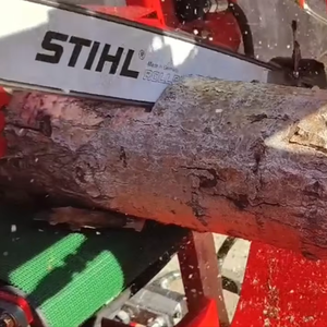 Nouveau 2026, Fendeuse de bûches 20 CV à essence, avec fonction de coupe pour bois de chauffage, construction métallique, usage agricole - Product Image 1