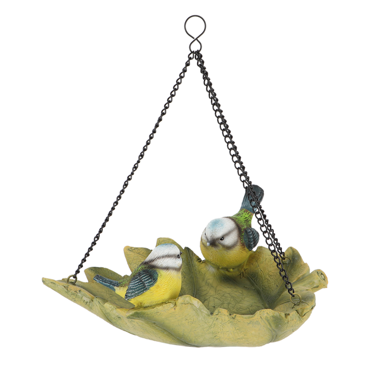 Birdbath dejar colgando tit azul