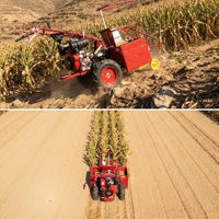 Moissonneuse-batteuse à maïs haute productivité avec moteur, boîte de vitesses, capacité de 200 kg et garantie d'un an
