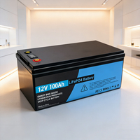 Batterie LiFePO4 liquide sur mesure 12V 100Ah à cycle profond 3000+ cycles, BMS 100A 4 cellules, -20~55°C, pour camping-car et solaire