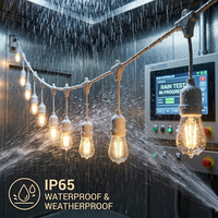 10 ampoules Heavy Duty Drop Festoon String Lights câble de rallonge d'alimentation avec longueur personnalisée intérieur ou extérieur utilisé