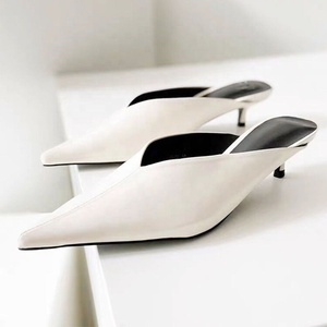 Women Low Thin Heels Slippers Sexy <b>Pointed</b> <b>Toe</b> on Shoes Dress Summer Outdoor Office Ladies Sandals - Product Image 1