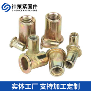 Écrous à rivets Shence M3 à M24 à tête plate métrique moletée pour l'industrie de la construction - Product Image 4
