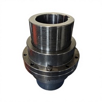 Accouplements à engrenages flexibles de haute qualité Gi1cl, type d'extension d'arbre de moteur, universels, OEM pour imprimeries