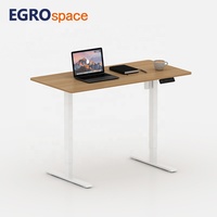 EGROspace Ordinateur debout réglable à moteur unique Bureau électrique ergonomique Fournisseur Bureau assis-debout