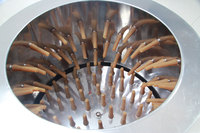 Équipement essentiel pour l'abattage des volailles Machine à épiler les poils de poulet pour l'élimination des plumes de poulet de caille pour les espèces d'oiseaux