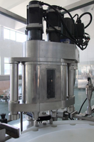 Ligne de production de liaison de remplissage de base de bouteilles de comptage automatique de poudre personnalisée