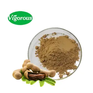 Organic Pure 4:1 Dried Tamarind Seeds Extract Powder
