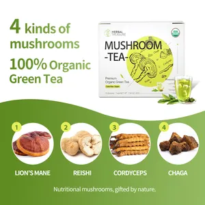 Customized Biodegradable Mushroom Extract Tea Bags For Healthcare