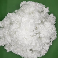 HCS 7D*32MM HCS PSF Staple Fiber Fluffy Warm Anti-Pressure Eco Friendly Synthetic Fiber for Household Textile Filling Products